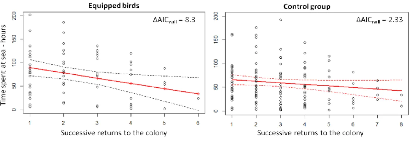 Figure 2.15: Time spent at sea after the different returns to the colony where birds were weighed  in  comparison  with  a  control  group