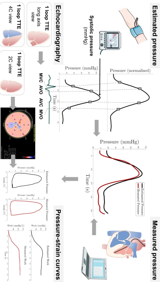 Figure 1: Schema of the global method 