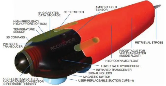 Figure 6: Acousonde TM  3B design (source: www.acousonde.com)  