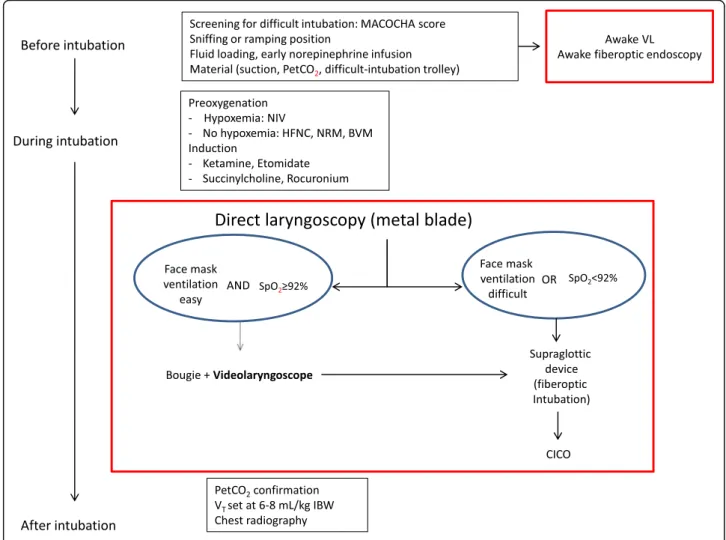 Fig. 1 Videolaryngoscopy and intubation in critically ill patients
