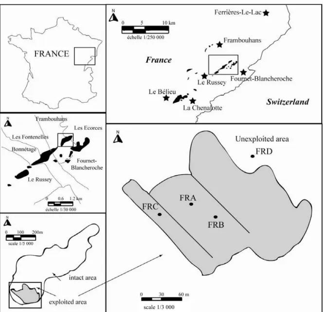 Figure 4 : Localisation de la tourbière du Russey au sein du vaste complexe tourbeux et  positionnement des différentes situations étudiées (modifié d’après Comont et al., 2006) 