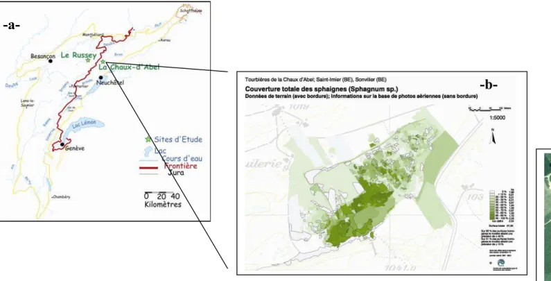 Figure 9 : Localisation de la tourbière de la Chaux d’Abel et positionnement des différentes situations étudiées  (-a- : modifié d’après Blant (2001); -b- : reproduit par le centre de consultation pour la protection des marais (WSL) ; -c- : vue aérienne du