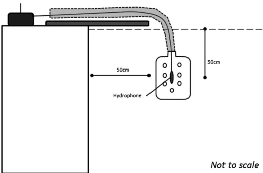 Fig. 1. Position of the recording set-up in the pool. Not to scale.