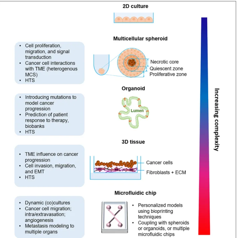 FIGURE 2 | Organotypic in vitro models of cancer progression with increasing biological complexity from the simple multicellular spheroid model to the more complex microfluidic approaches