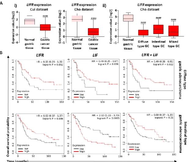 Figure 7. LIF and LIFR in GC and associated prognosis. (A) Oncomine data-mining analysis showing  level of LIFR mRNA in (i) gastric adenocarcinoma compared with normal gastric mucosa in the Cui  (n = 90) and Cho (n = 160) gastric tissue datasets and (ii) n