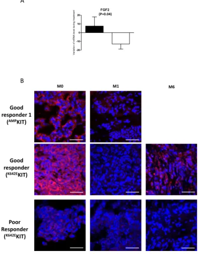 Figure 2. Variation of FGF2 expression during treatment. (A) Variation in expression between baseline  and after 1 month of treatment with nilotinib of FGF2 mRNA expression, in patients treated with  nilotinib with poor (black bar) or good (white bar) resp