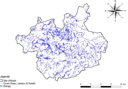Figure 5 : Organisation du réseau hydrographique en chaînes d’étangs  Source : BDTOPO version 2.1 – 2015 et www.data.gouv.fr  