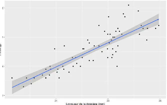 Figure 29 : Relation entre le poids et la longueur de la dossière des émergents 