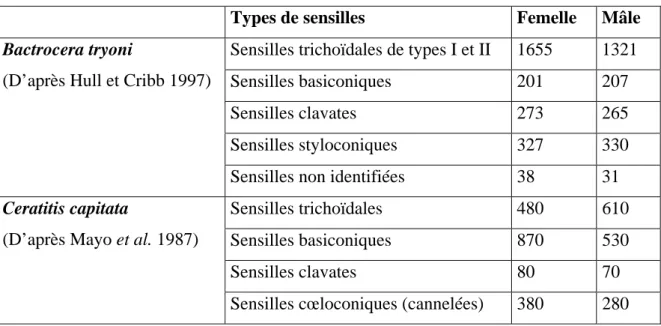 Tableau I – Types de sensilles chez Bactrocera tryoni et Ceratitis capitata : 