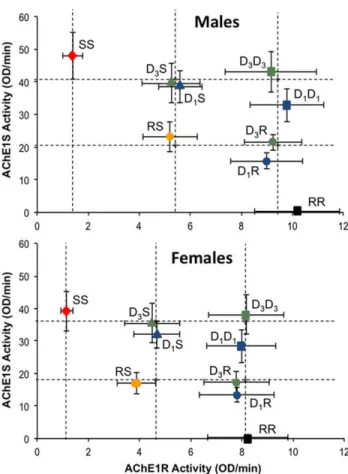 Figure 1. Mean AChE1R and AChE1S activities of the various genotypes. The mean activities (given as the variation in optical density [OD] per minute) and associated standard errors for each genotype are presented for both AChE1R and AChE1S, for males (top)