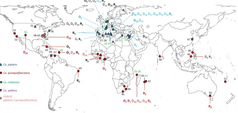 Figure 8 : Localisation des populations échantillonnées et des allèles de résistance du locus  ace-1