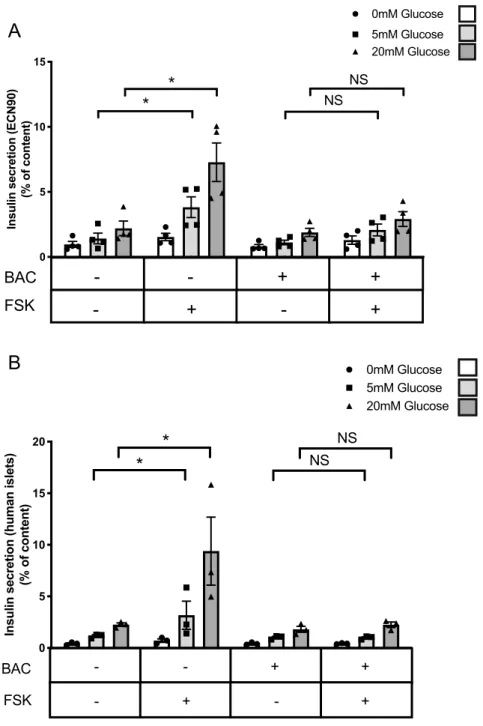 Figure 5.  Baclofen treatment blunts forskolin-induced insulin secretion. (A) ECN90 were pretreated with  or without Baclofen (BAC) during 16 h and next pulsed for 1 h with or without forskolin (FSK) followed  by a 40 min insulin secretion test at 0, 5 and