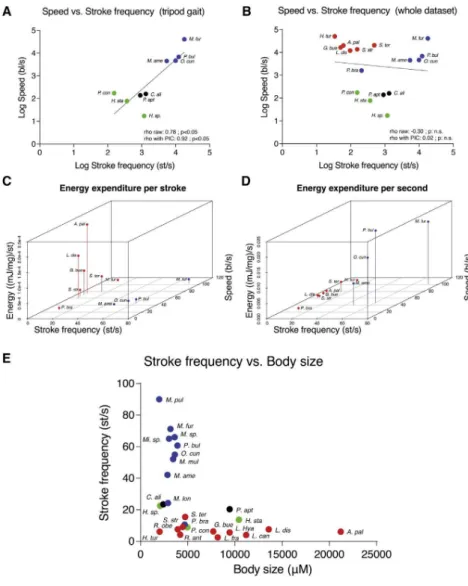 Figure 4. Correlation Tests between Stroke Frequency, Speed, and Habitat Preference with Associated Energy Expenditure and Relation with Body Size