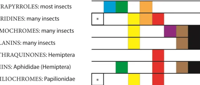 Figure 1. Endogenous pigments in insects. Certain pigments synthetized by insects and the variability of colour that are  identified