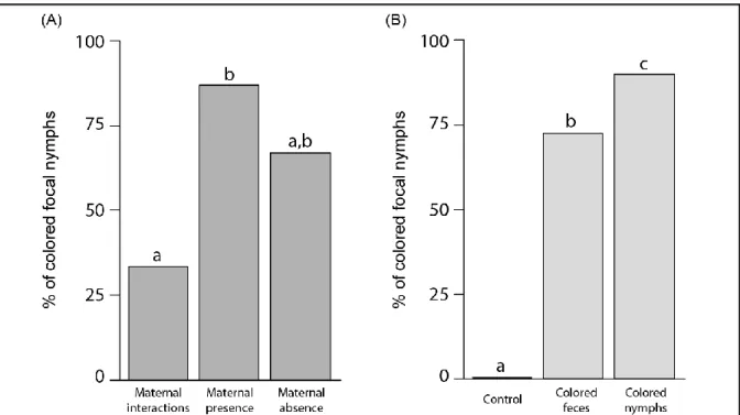 Figure 16 | Pourcentage de groupe expérimentaux dans lesquels le juvénile receveur est devenu coloré après  avoir été (A) en contact avec leur mère (Maternal interactions), proche de leur mère mais sans contact avec  elle (maternal presence) ou sans leur m