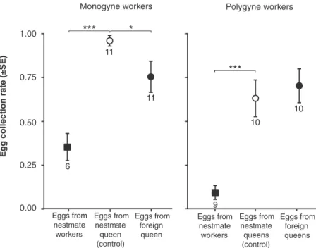 Fig. 1 Collection rates of eggs originating from nestmate workers (black squares), nestmate queens (control, white circles) or foreign queens (black circles) 15 min after being introduced in group of monogyne or polygyne workers.