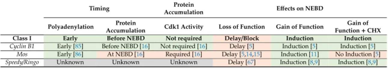 Table 4. Class I proteins whose translation is required for MPF activation in Xenopus oocytes