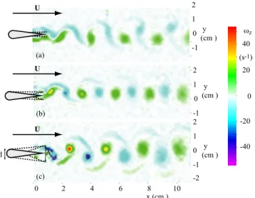 Figure 2.2: Transition from the Bénard-von Kármán wake (top frame) to a reverse wake (bottom frame) seen in the vorticity field behind a flapping foil obtained from PIV measurements in a  hydro-dynamic tunnel