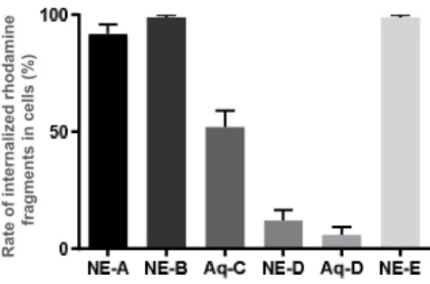 Figure 5. Quantification of internalized rhodamine in treated-cells  to evaluate the uptake into BE (2)-M17 cells of compounds A, B,  D and E formulated into NEs and compounds C and D solubilized  in water