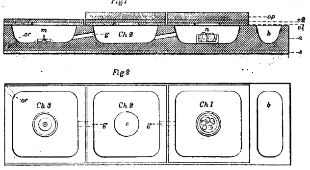 Figure 7 : Appareil pour l’élevage des fourmis. 