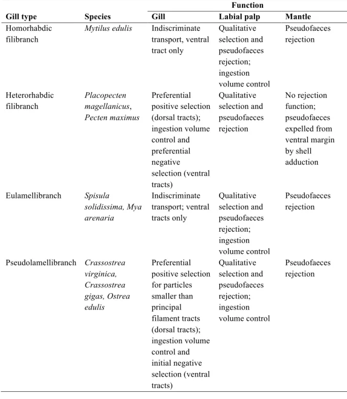 Table 1-1. Summary of particle processing on the pallial organs of different gill types