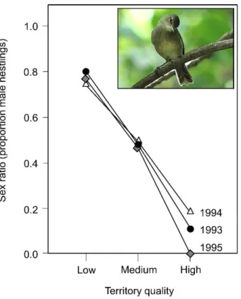 Figure 4: Sex ratio of nestlings produced by Seychelles warbler pairs as a function of the quality of the breeding  territory  (results  from  Komdeur  et  al