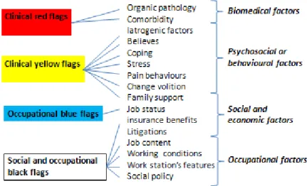 Figure 1. Synthesis of red, yellow, blue and black flags for low back pain workers.  