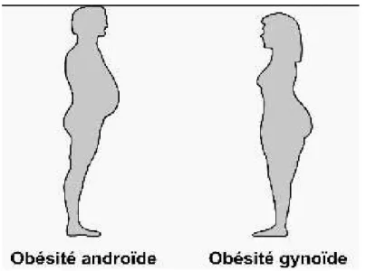 Figure 6 : Types d'obésité en fonction de la répartition de la masse grasse 
