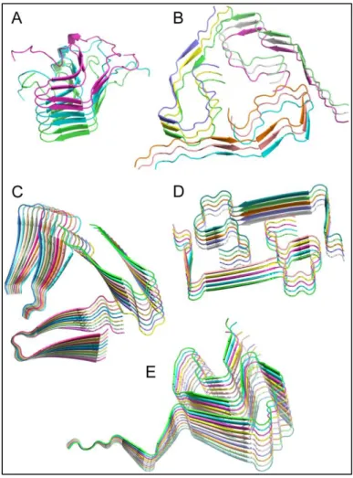 Figure 0-2: Selection of amyloid fibrils atomic structures determined by solid-state NMR