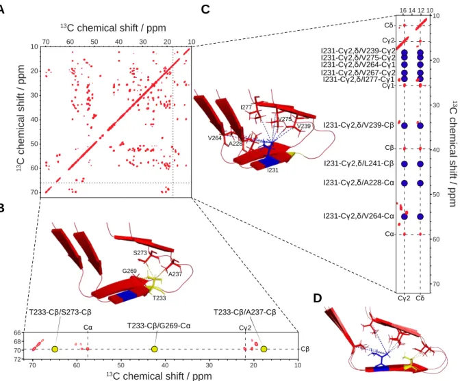 Figure 0-4: Illustration of long range through-space distance determination, based on HET-s(218-289) amyloid  core (55)