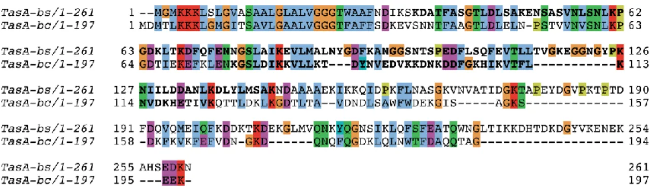 Figure  3-1:  Amino  acid  sequence  alignments  of  the  two  TasA  homologs  (B.  subtilis  TasA 1-261   and B