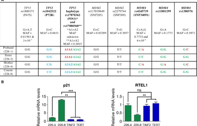 Fig. 6. TP53 or MDM4 polymorphisms might alter the impact of the MDM4 T454M  mutation among NCI-226 family members