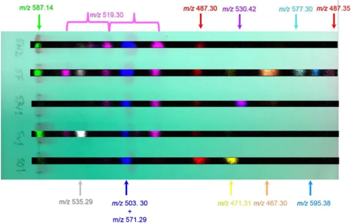 Fig. 3    Overlay of the UV-absorbing trace of the TLC plate before DESI acquisition with the ion images of the different colour coded spots of  different m/z for S, otitis (SO1), S