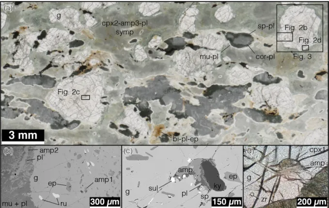 Figure I.1.2: Photomicrograph of a (a) part of thin section of the studied sample and (b, c, d) details of  inclusions in garnets