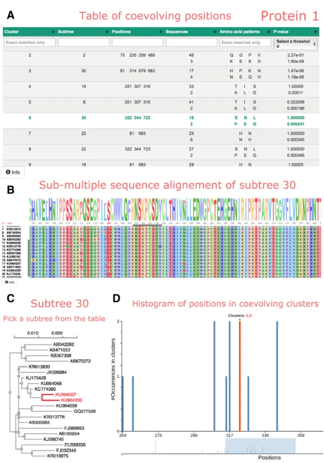 Figure 3. COVTree interactive page presenting protein coevolution analysis. (A) Table of clusters of coevolving positions, where each row describes a BIS2TreeAnalyzer cluster (see text)