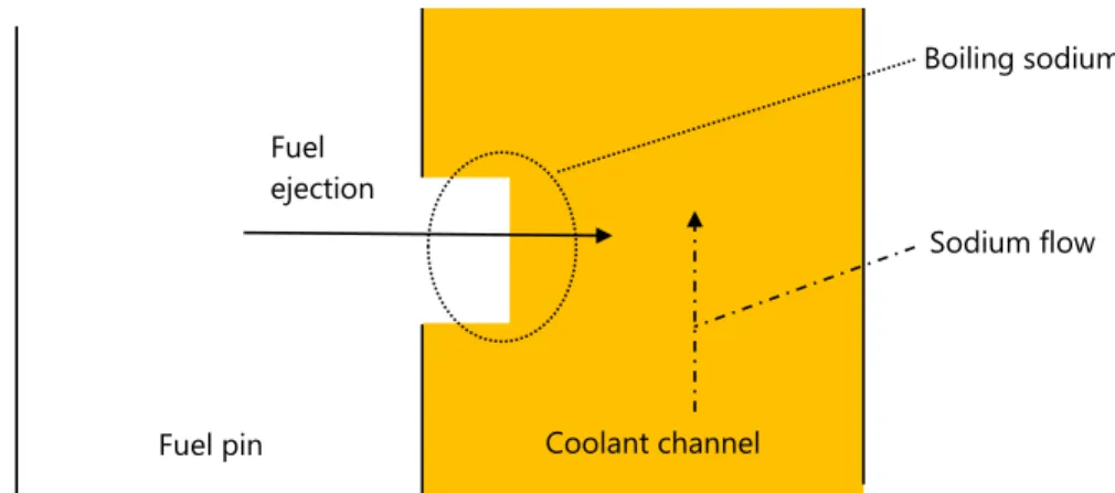 Figure 1.9: Evolution of a subassembly under a TIB scenario as described by Kayser  et al