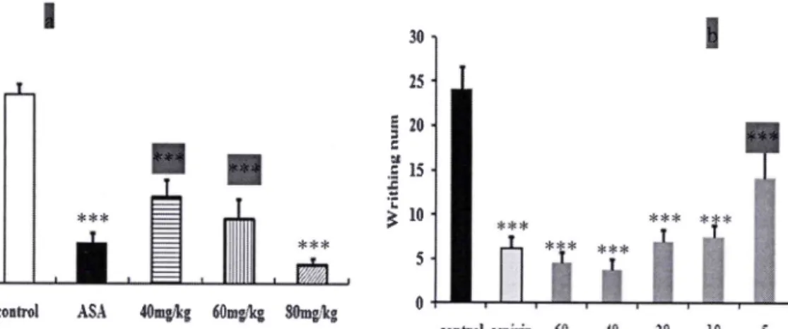 Fig.  2. Antinociceptive  efects  of stems and  leaves essential  oils  on the acetic  acid  writhing  test in  mice.