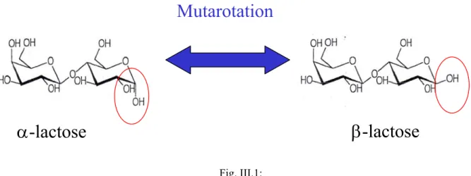 Fig. III.1: