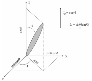 Figure 8 : Intensités de l’émission parallèle et perpendiculaire d’une molécule unique