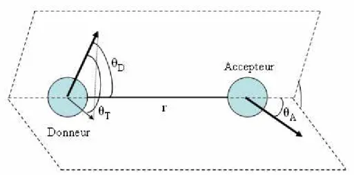 Figure 10 : Orientation relative des moments de transition du donneur et de l’accepteur