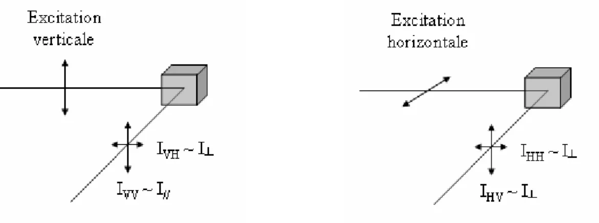 Figure 11 : Schéma des différentes polarisations mesurées dans un système en L 