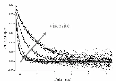 Figure 20 : Relaxation de l’anisotropie de l’actine-Alexa488 en fonction de la viscosité