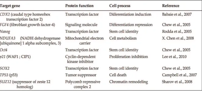 Table  3  shows  a  set  of  Oct4  target  genes  that  are  involved  in  various  developmental  and  functional processes (Sharif Tanveer 2011)