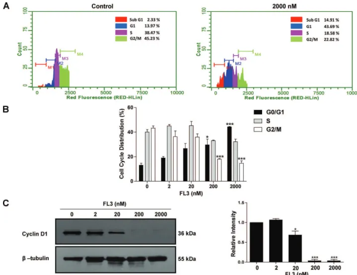Fig. 2. Concentration-dependent effects of FL3 on the cell cycle progression of NT2/D1 cells