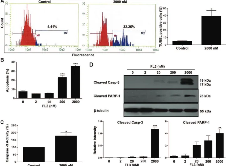 Fig. 3. Concentration-dependent effects of FL3 on the apoptosis rate of NT2/D1 cells. Cells were exposed to FL3 at the indicated concentrations and incubated for 24 h
