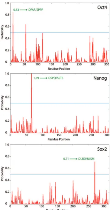 Fig. 5. Potential caspase cleavage sites in the primary sequences of the main stemness factors