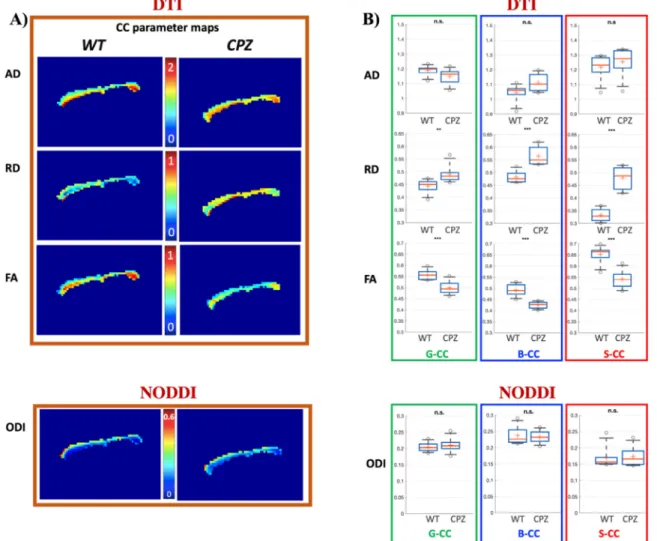 Fig. 9. A) Parametric maps of the CC in a healthy WT mouse (ﬁrst column) and a CPZ mouse (second column) obtained from conventional DTI at b = 1241 s/mm 2 and from NODDI ODI