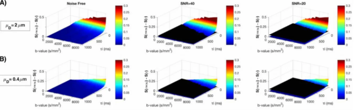 Fig. 3. Diﬀerences in the DW-MR normalized signal between impermeable ( 