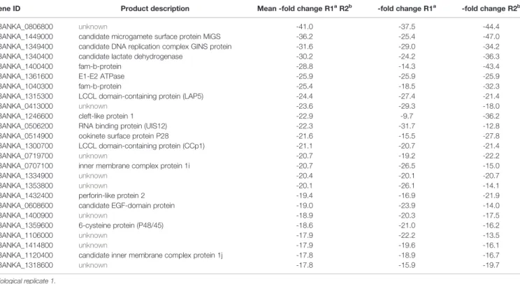 TABLE 2 | The top 25 down-regulated genes in blood stages of uis12(-) vs. wild-type.