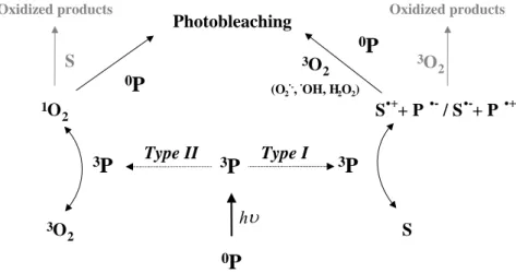 Figure 2.6. : Diagram of photobleaching mechanisms occurring after absorption of   photons by photosensitizer